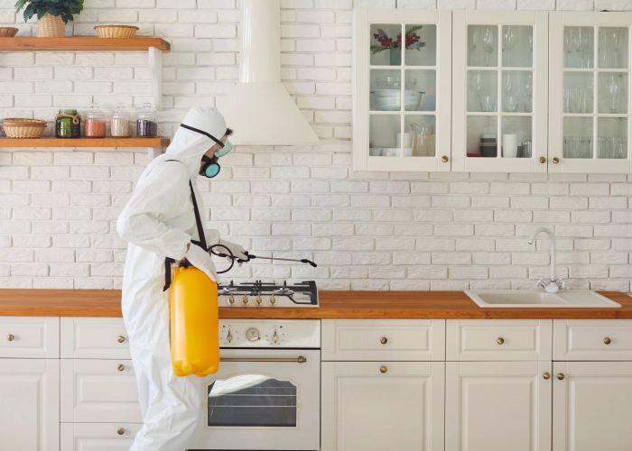 Traitement punaise de lit Courrendlin – Tarifs transparents 2830 Jura